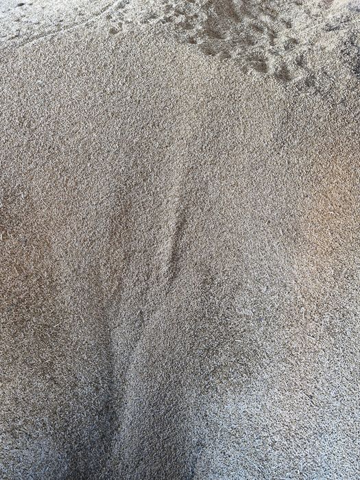 Продам  ярий ячмінь