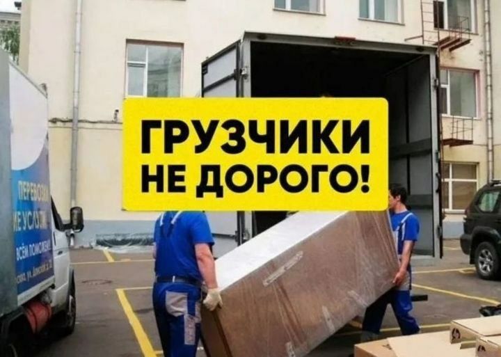 Грузчики не дорого