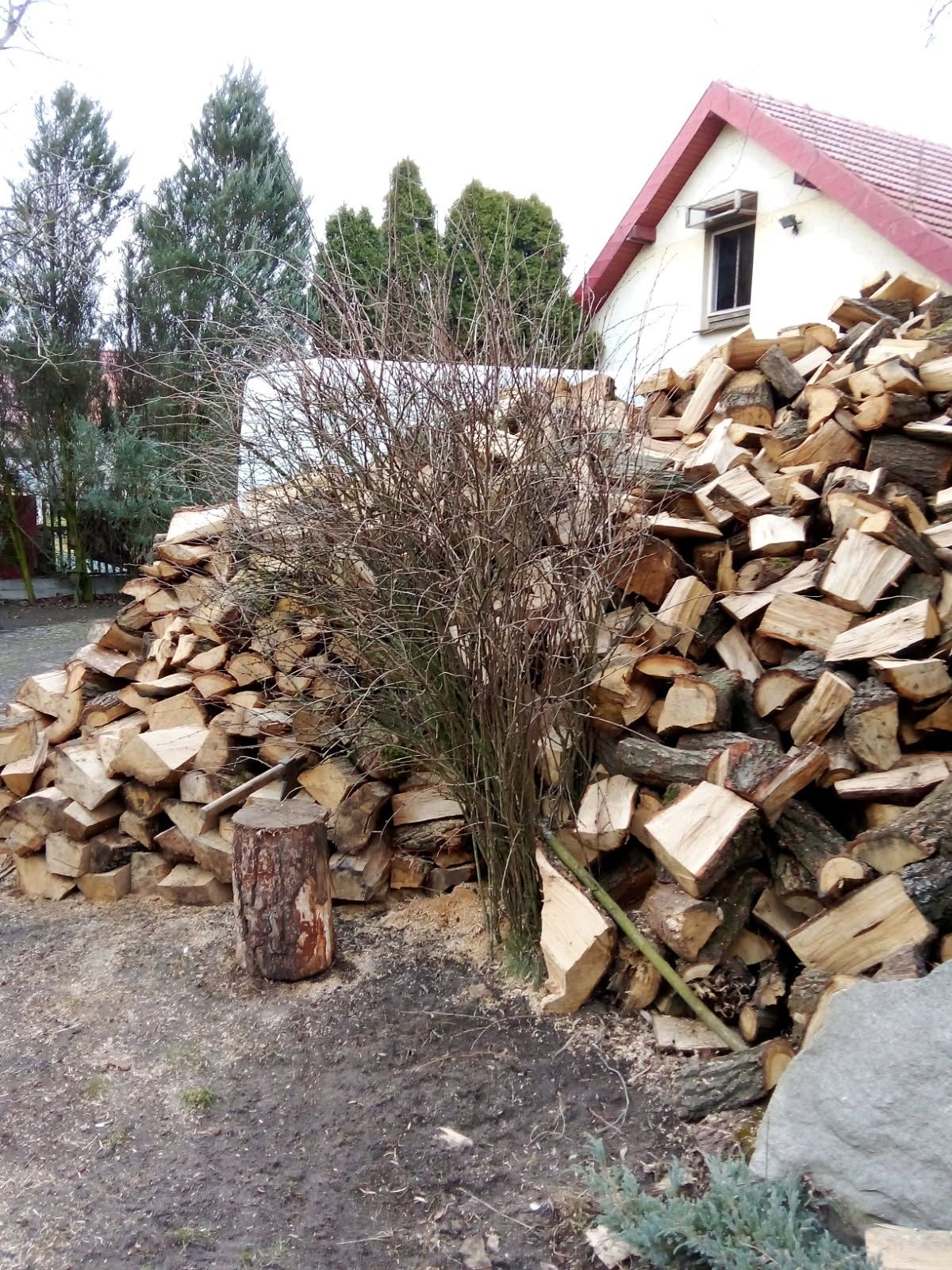 Drewno kominkowe opałowe liściaste