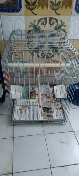 Gaiola papagaio com comedores