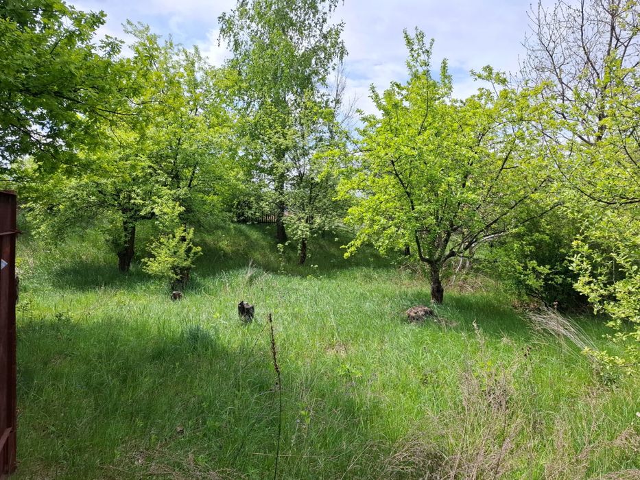 Продаж земельної ділянки в с. Хлепча