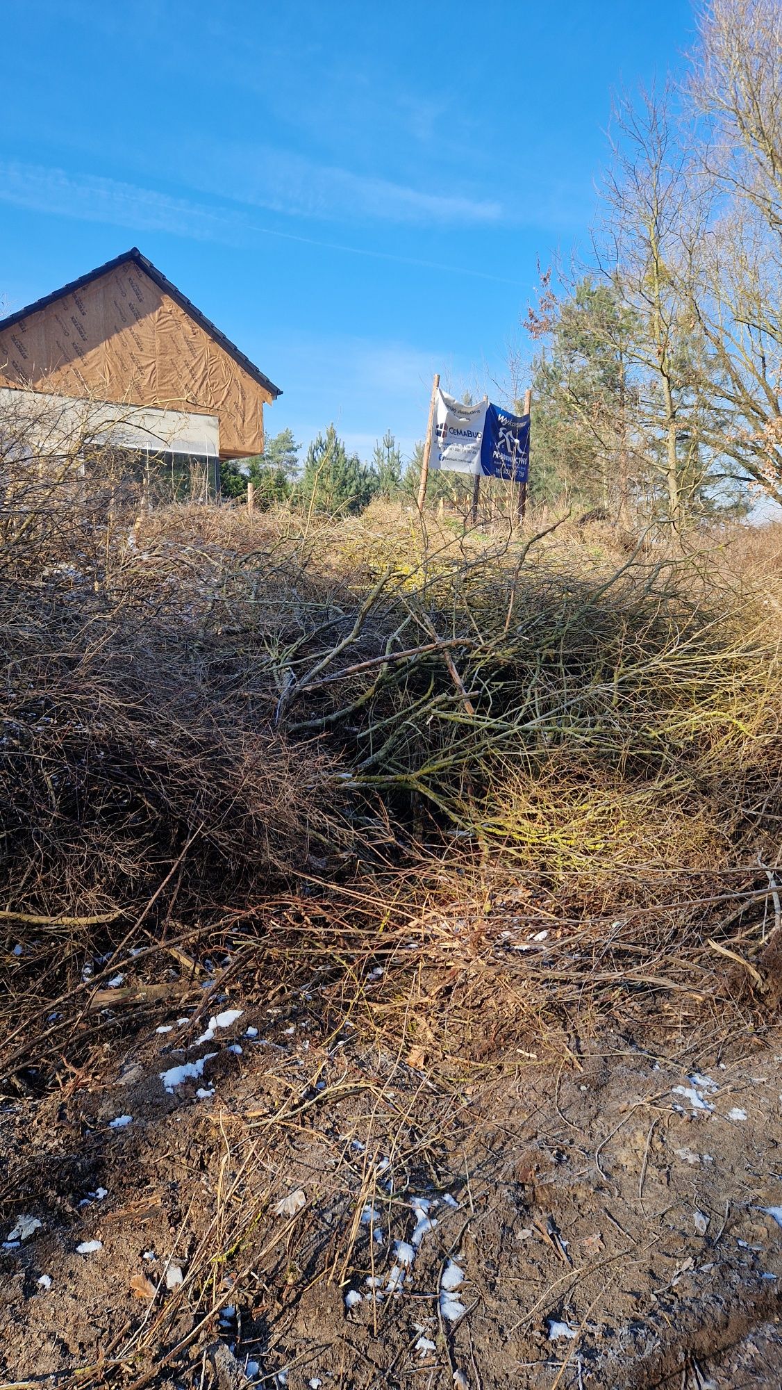 Oddam chrust, drewno, gałęzie za darmo