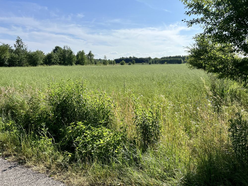 Działka rolno-budowlana 1,75ha z MPZP