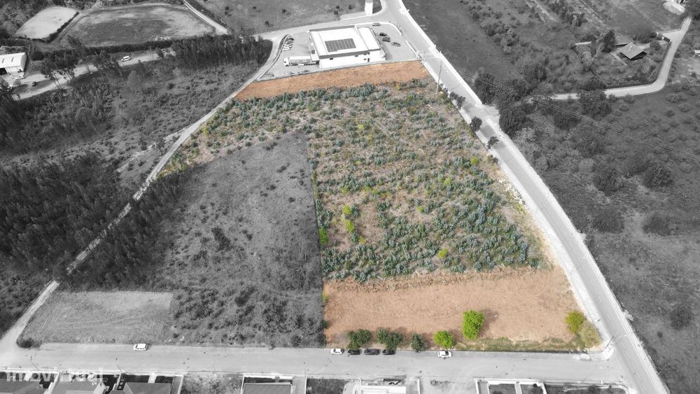 Terreno Para Construção em Figueiró dos Vinhos