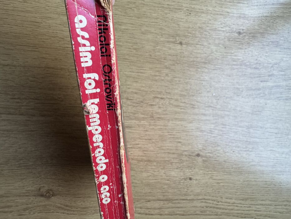 Assim foi temperado o aço de Nikolai Ostrovski