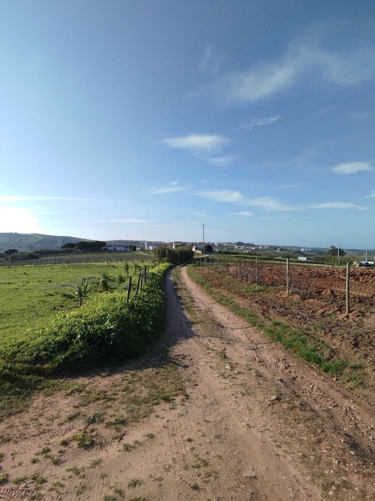 Terreno para Aluguer - Zona Previlegiada