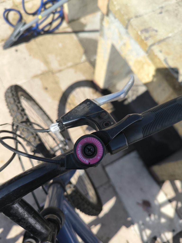 Bicicleta de montanha antiga