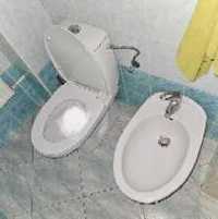 Bidet /muszla klozetowa