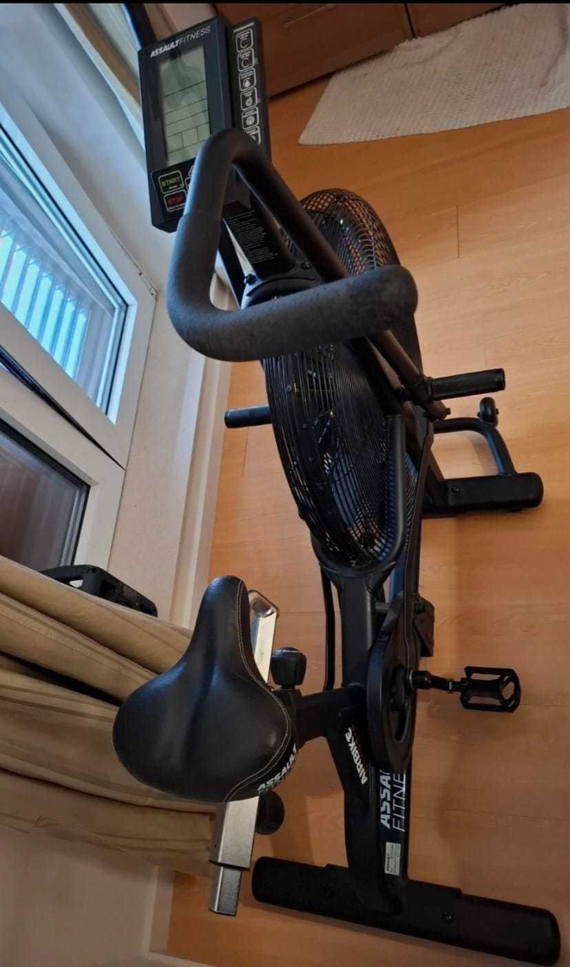 Bike assault air bike