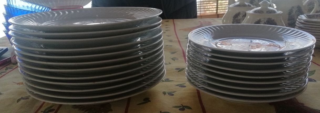 Conjunto de pratos rasos