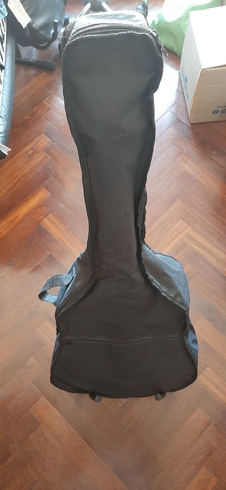 Viola acústica   .