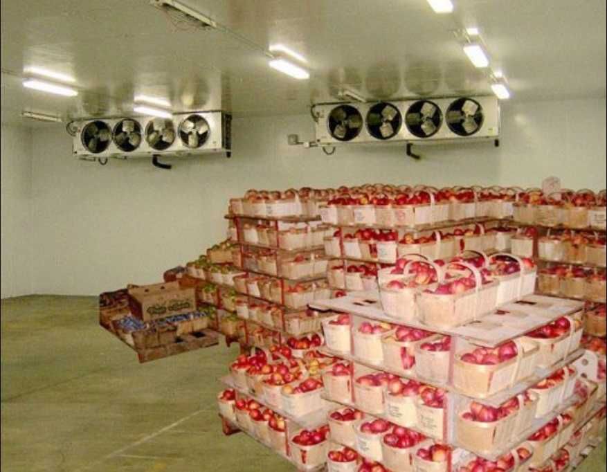 Камери зберігання яблук охолодження груші сендвіч холодильні установки