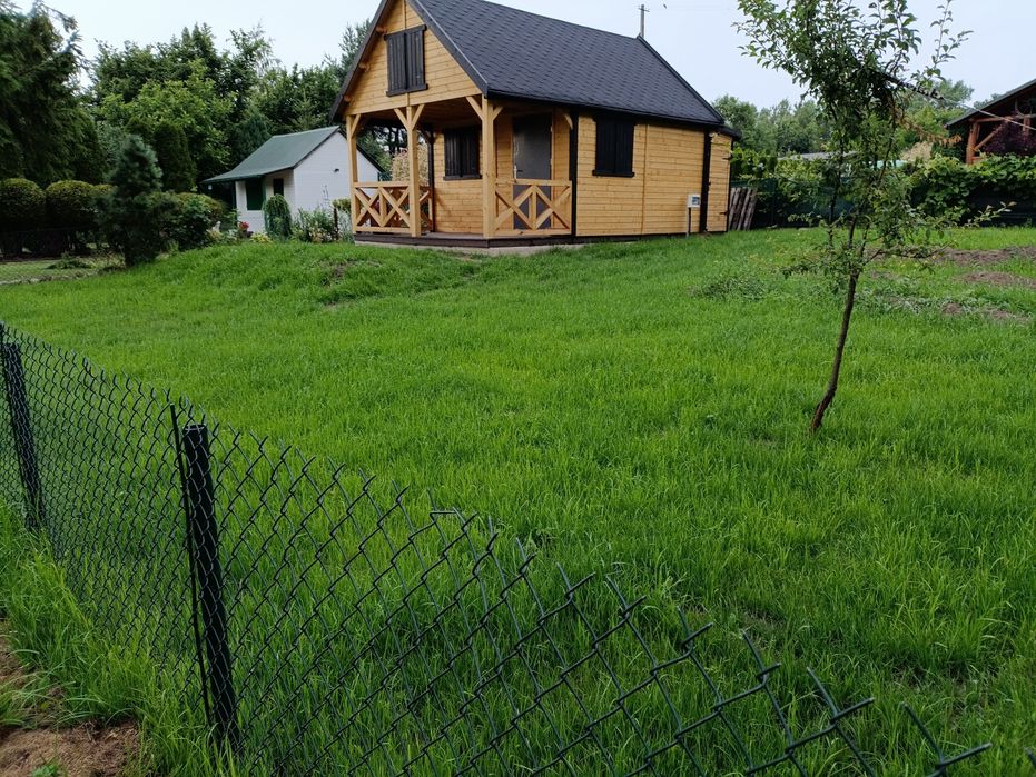 Wycinka drzew i krzewów , Zakładanie trawników