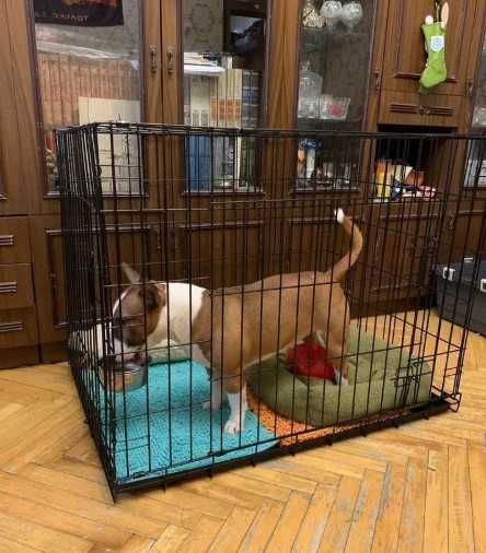 Нові клітка клетка X/S-XXL переноска манеж для собак кошек на виріст