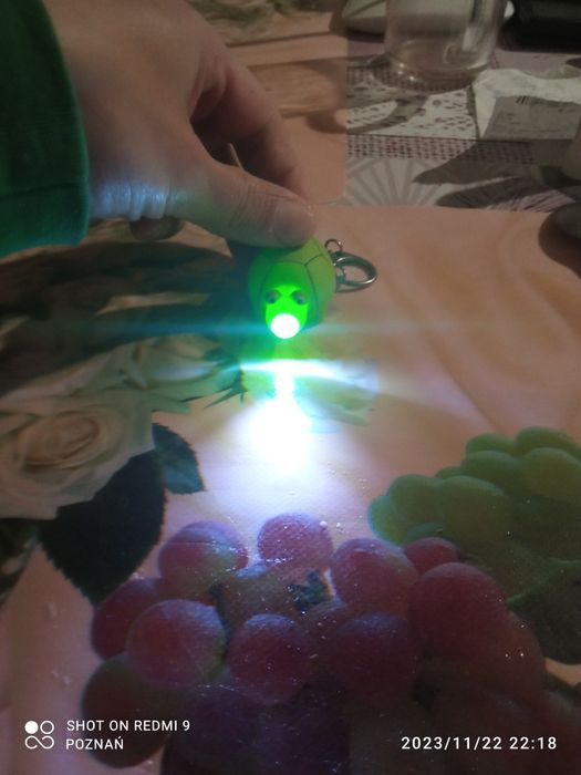 Sprzedam breloczek żòwia