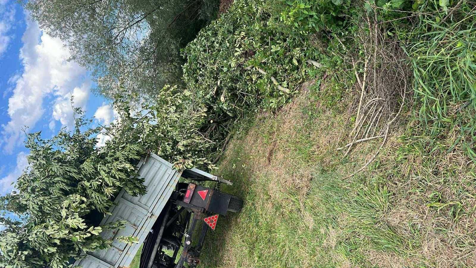 Kompleksowe sprzątanie posesji (wycinka drzew, wywóz gruzu, gabarytów)