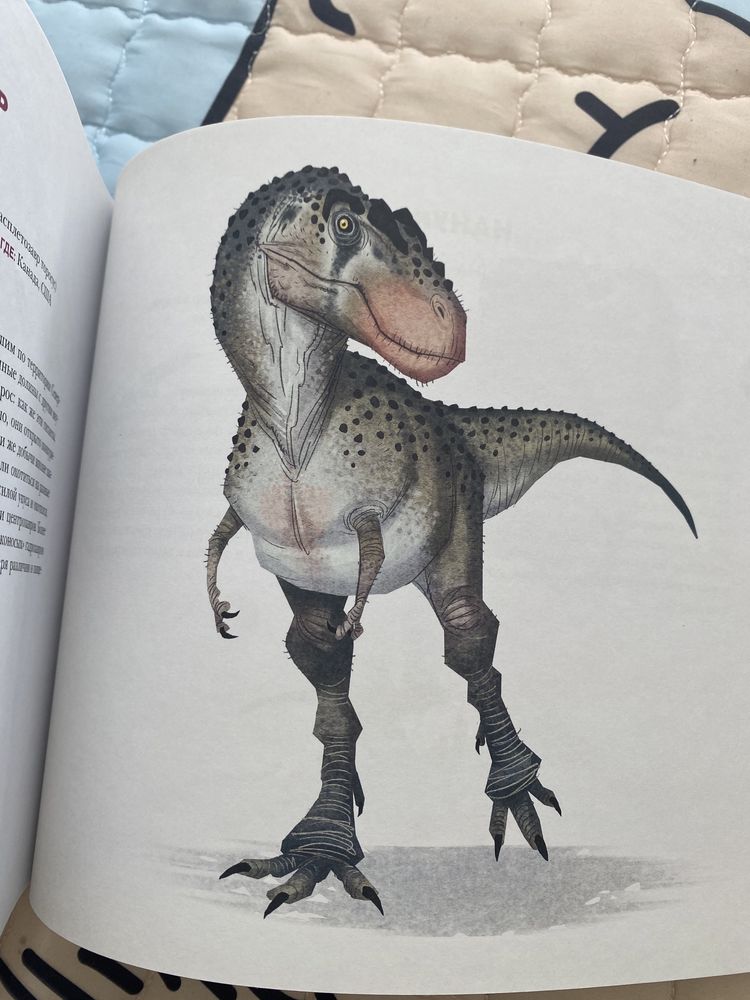 Енциклопедія для чомучок, тиранозавр Рекс