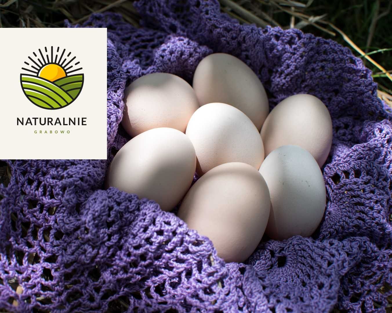 Jajka wiejskie z własnej hodowli NATURALNIE GRABOWO
