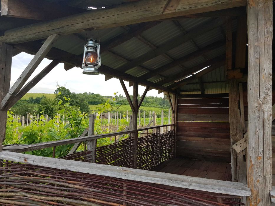 Продаж будинку, Тернопільська область, Монастириський район Швейків