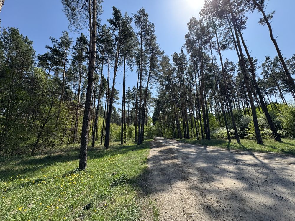 Земельна ділянка біля озера! 20 соток. Нове Залісся.