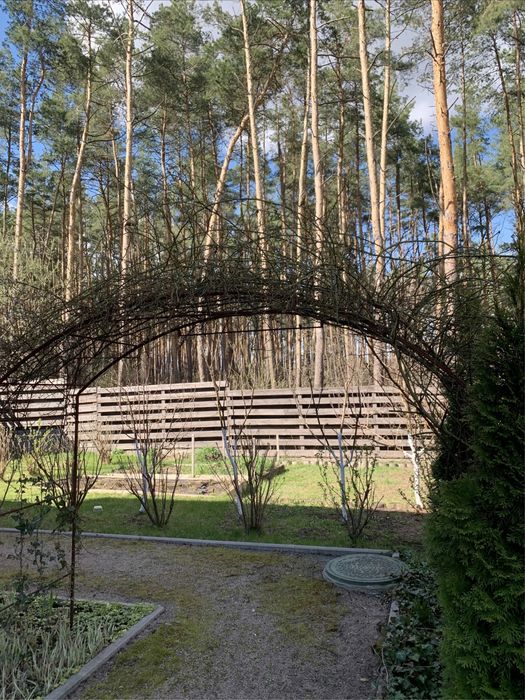 Продаж будинку в сосновому лісі | 120 м² на 8 сотках | Березенщина