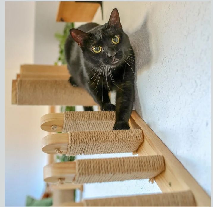 Vendo escada para gatos nova (Climbing Stairs da Home Footprint®)