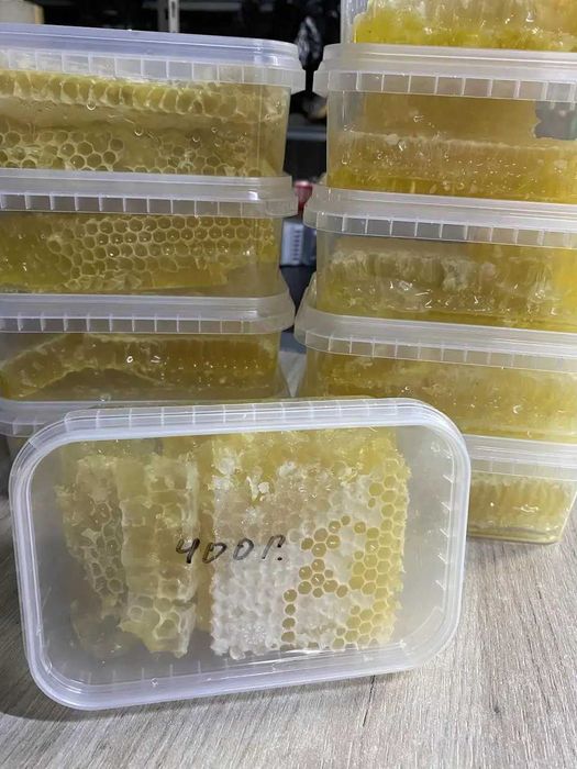 Продам натуральний мед в сотах Копичинці