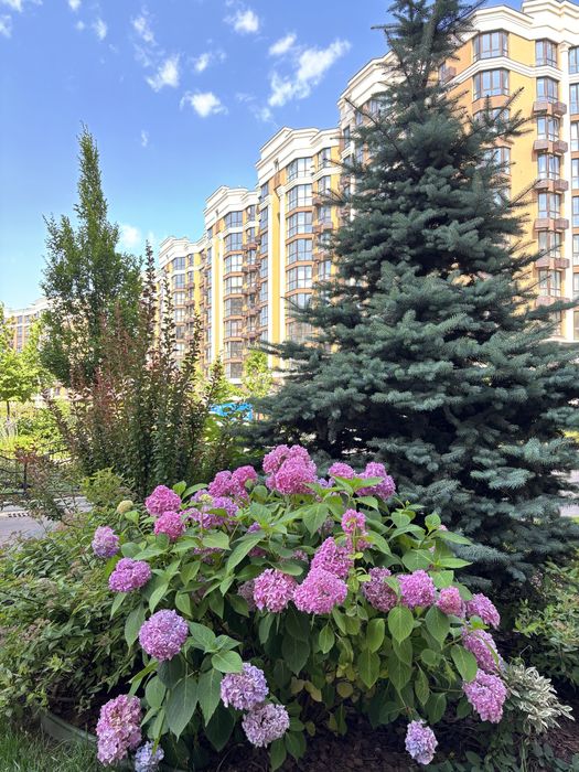 Оренда 1 кім. кв. в ЖК Софія Резиденс, поруч Київ, Щасливий