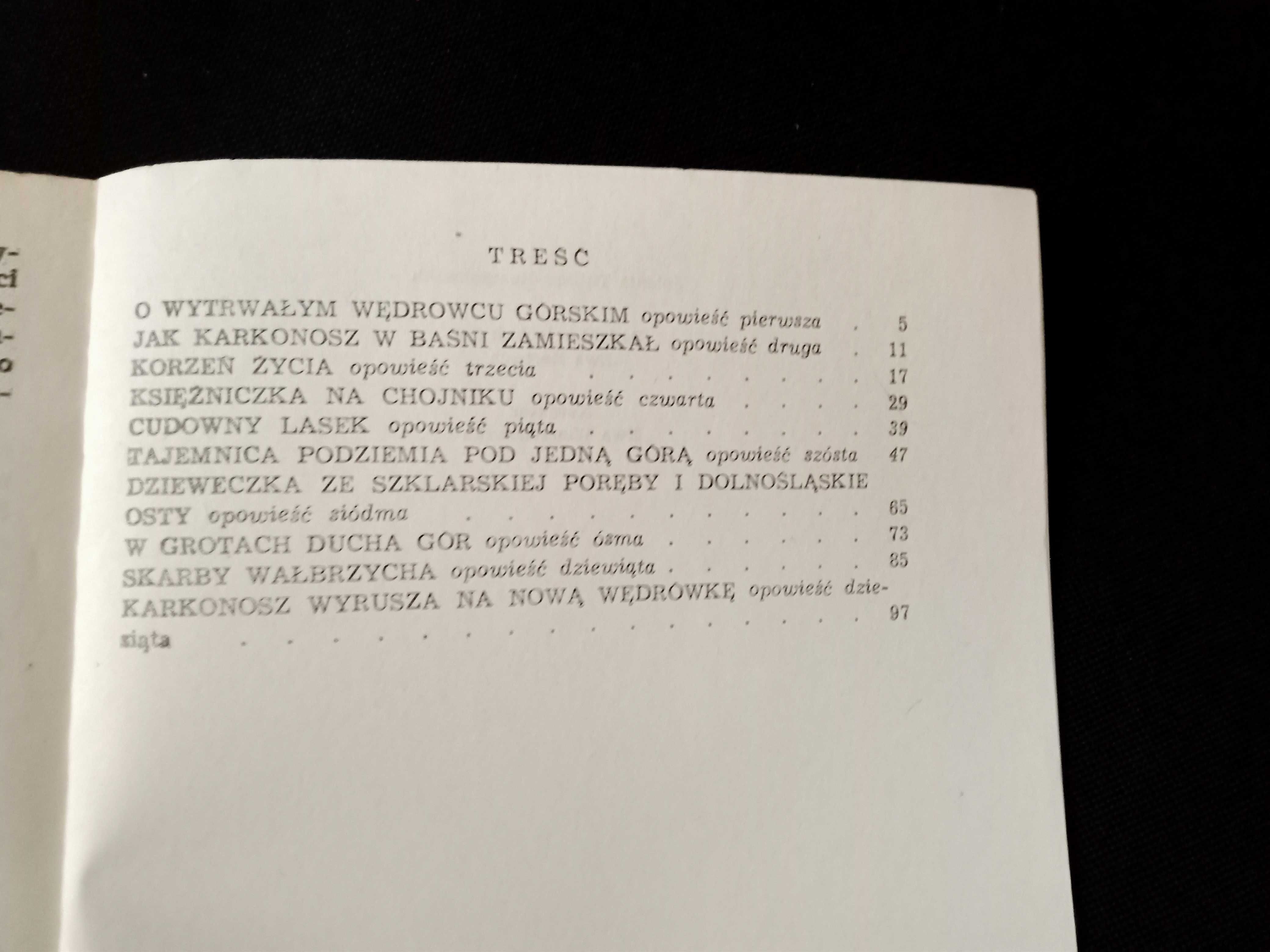 "O wytrwałym wędrowcu" Ludwik Świeżawski