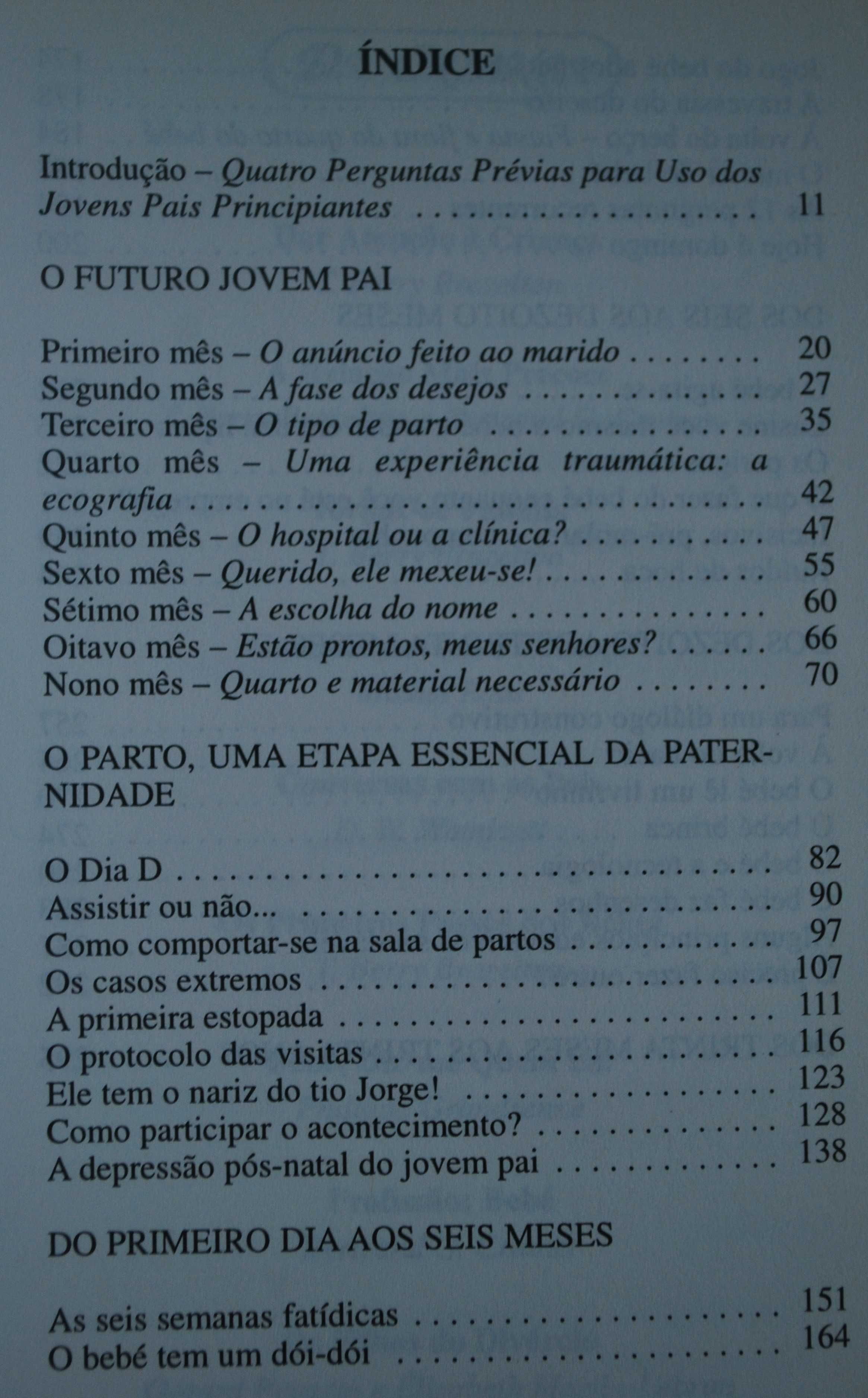 Guia do Jovem Pai de Pierre Antilogus e Jean-Louis