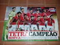 Poster tetra campeão SLBenfica