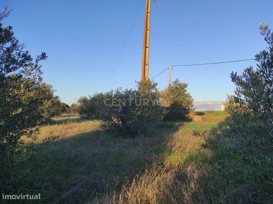 Terreno na Godinha- Campo Maior