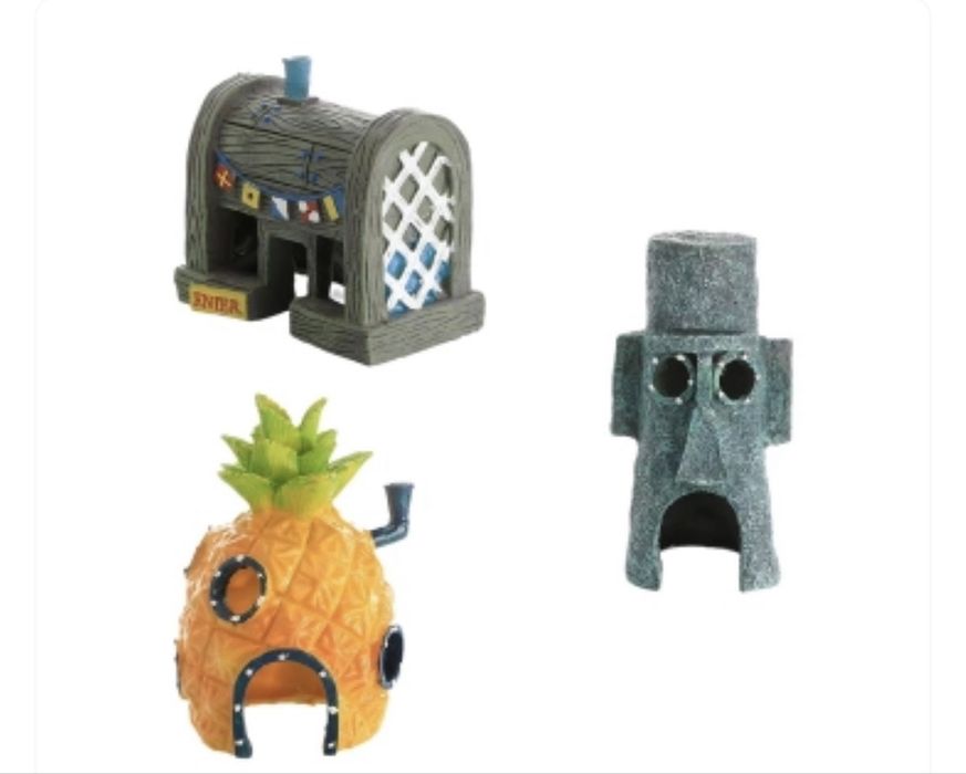 Будинок Спанч Боба, Губка Боб