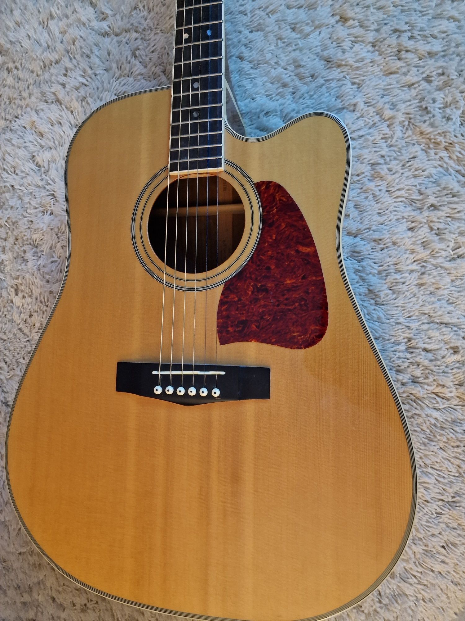 Ibanez Artwood AW300CE