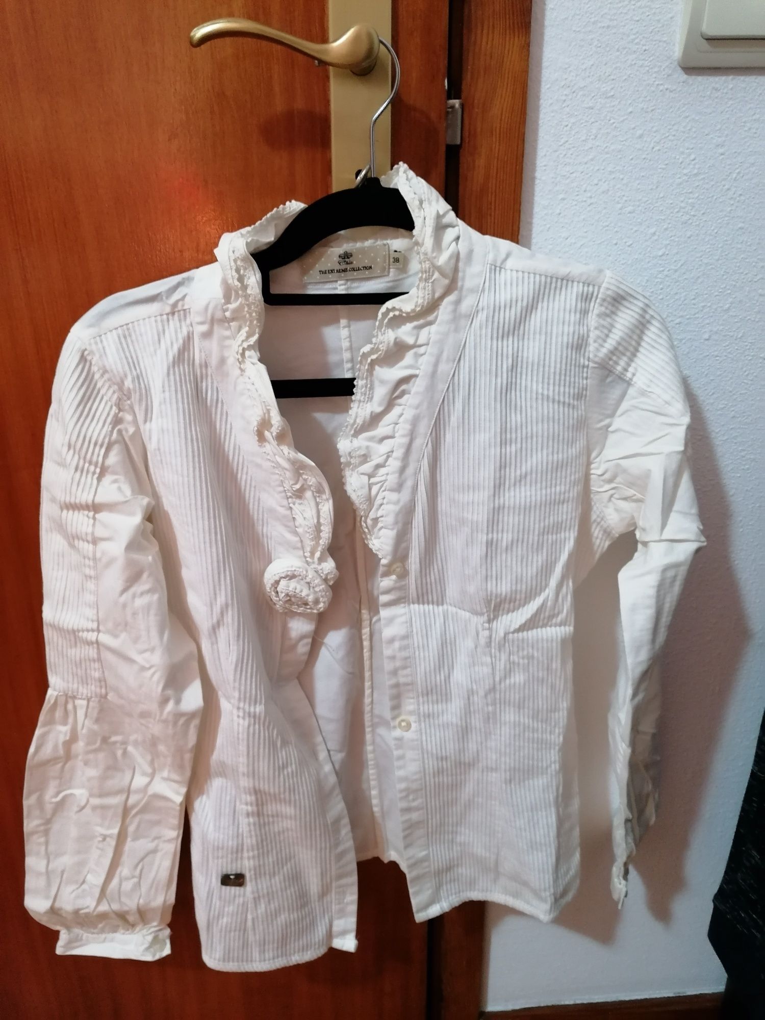 Camisas de marca de mulher