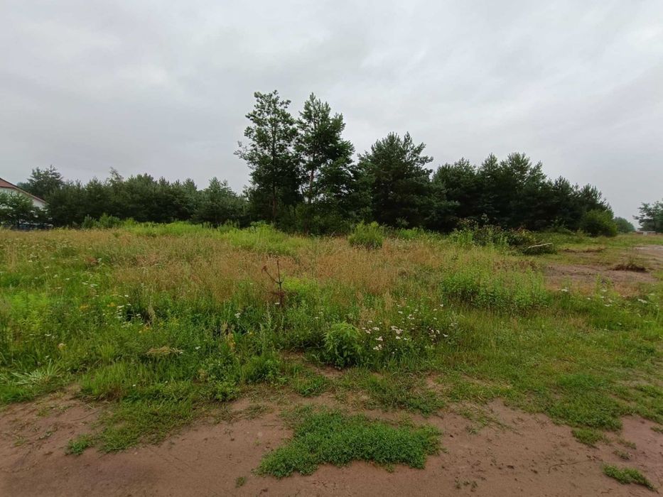 Działka w otoczeniu natury!