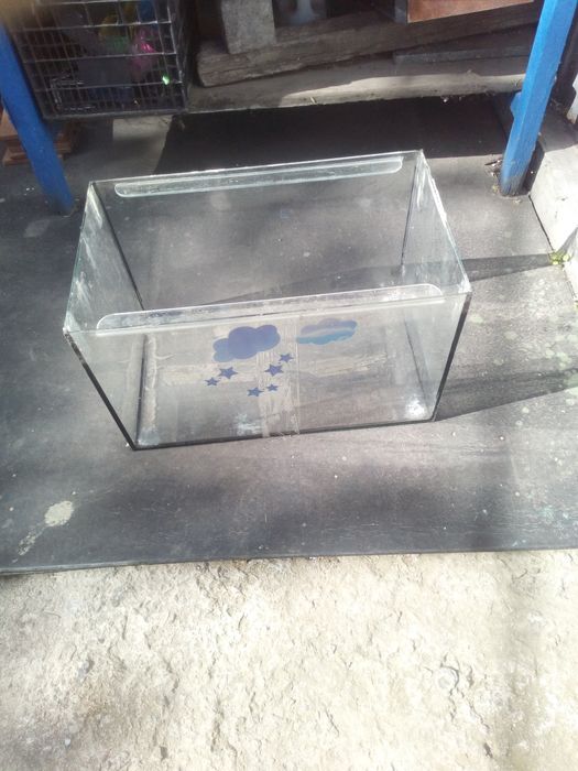 Аквариум в хорошем состоянии