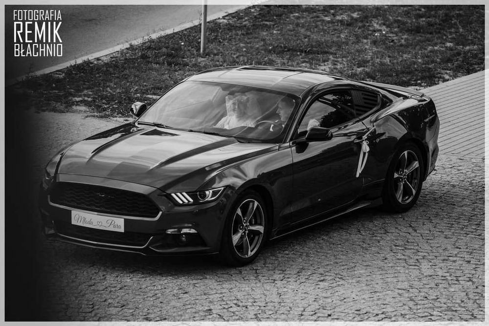 Mustang! Auto na ślub wesele, 18stka, panieńskie i inne! !Na wynajem!