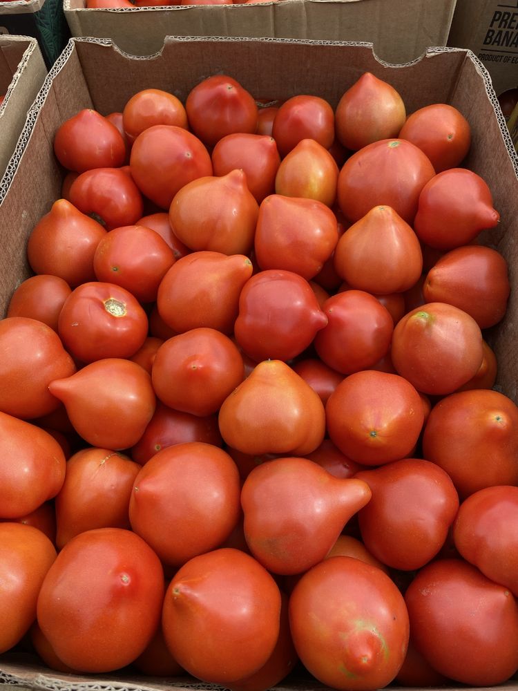 Продам помідор дуже смачний