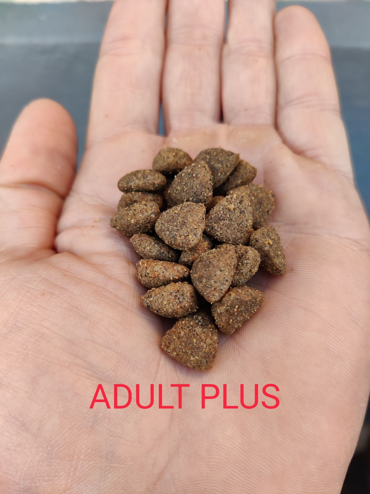 Ração "Adult Plus" SUPER PREMIUM || 20kg