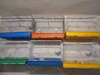 Varias gaiolas para ceder