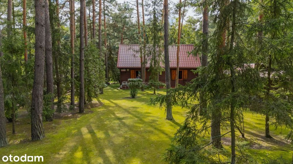 Dom drewniany 61m2 na zalesionej działce