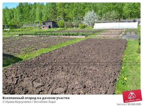 Вспашка земли мотоблоком любой сложности