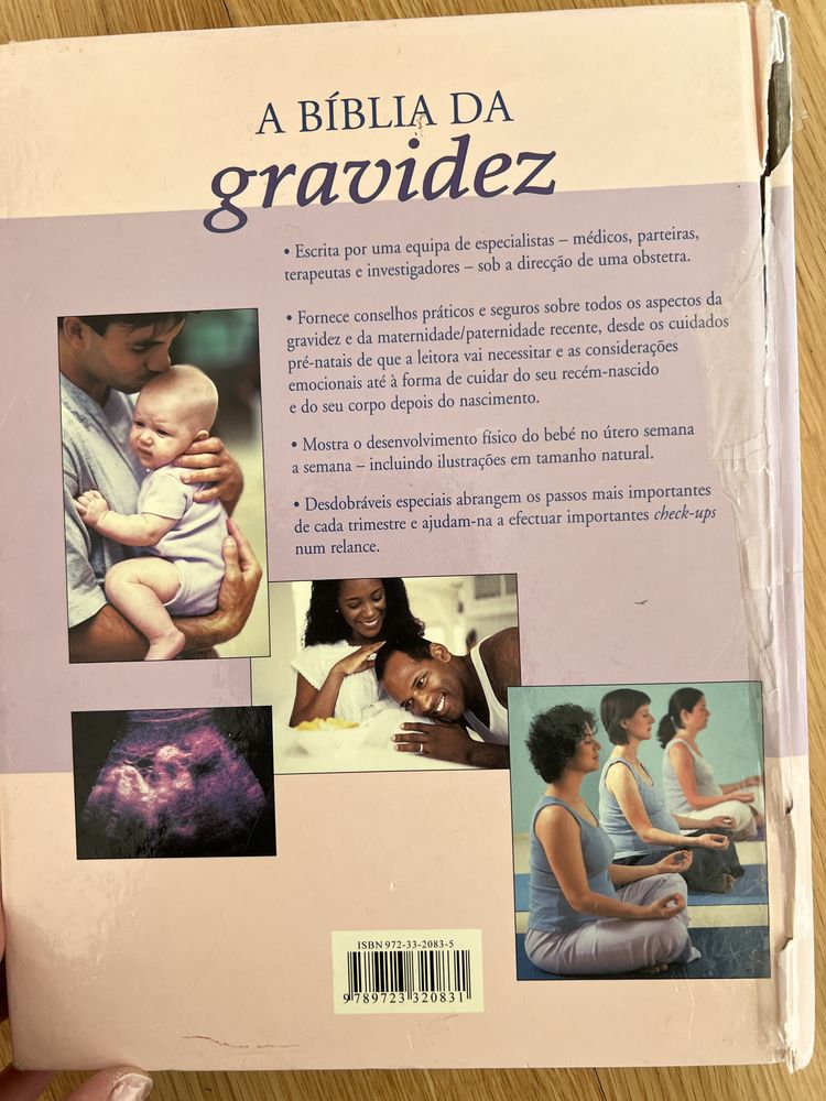 Livro A Bíblia  da Gravidez