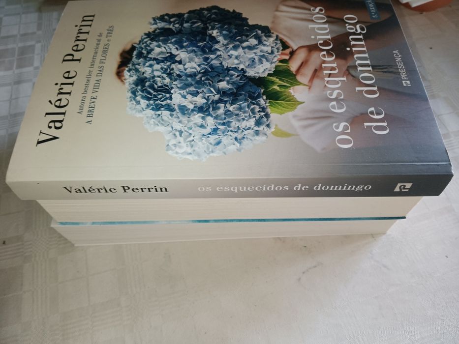 Livro - Os Esquecidos de Domingo