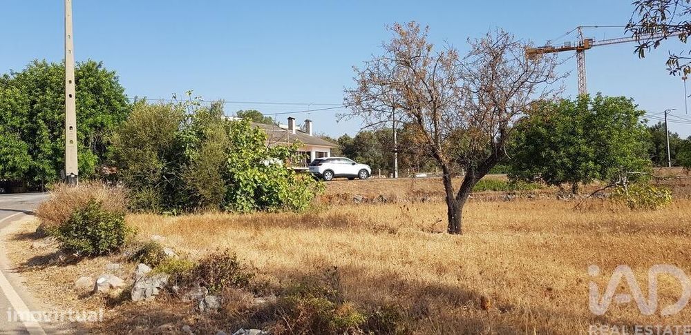 Terreno em Boliqueime de 11173,00 m2