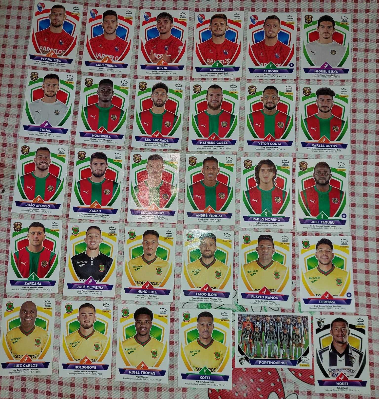 Cromos Bwin - panini