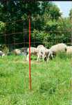 Siatka dla owiec OviNet, 50m, 90 cm, poj. szpic, pomarańczowy, Kerbl