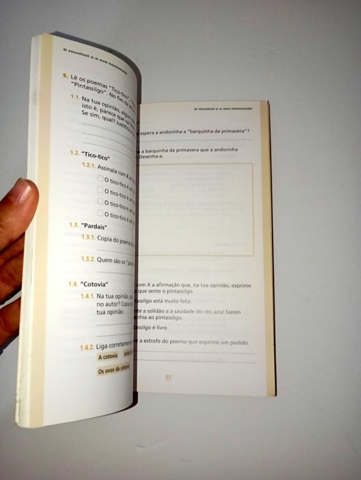 O Rouxinol  e a sua namorada