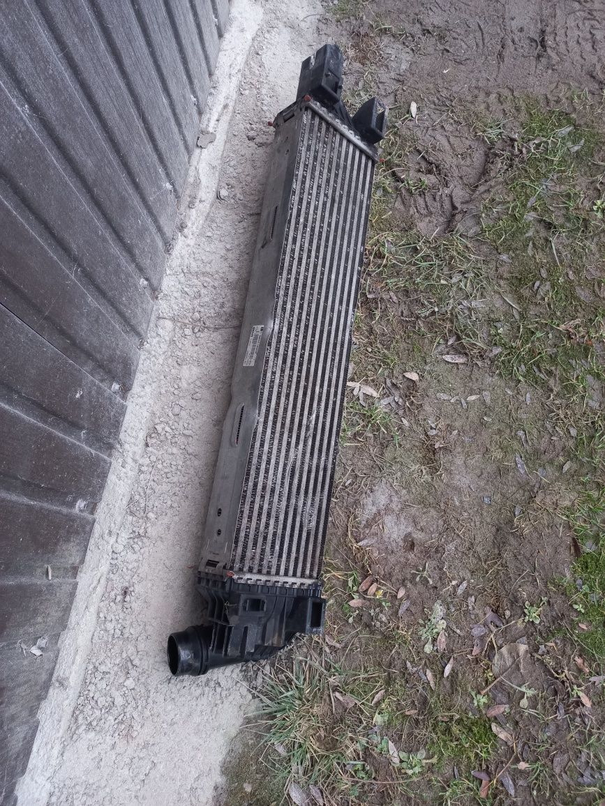 Chłodnica interculer reno trafik lll